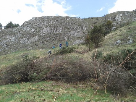 brigáda1